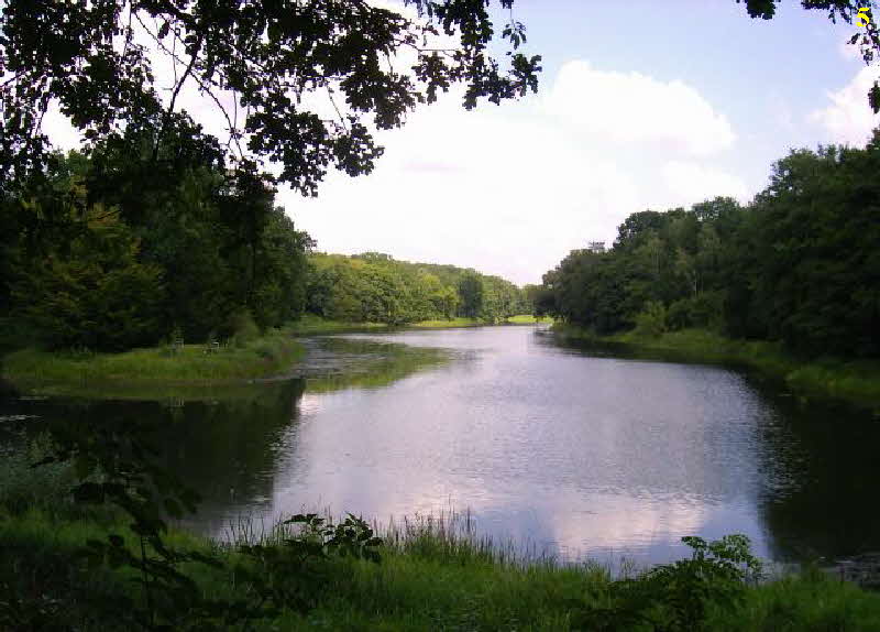 Wallwitzsee bei Dessau Wallwitzsee bei Dessau