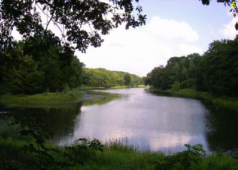 Wallwitzsee bei Dessau